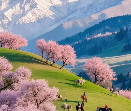 flower in xinjiang.png